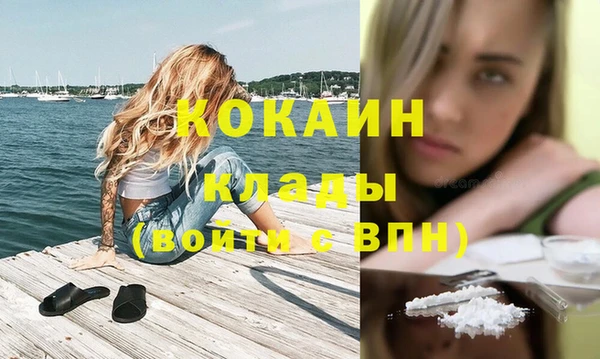 сатива Арсеньев