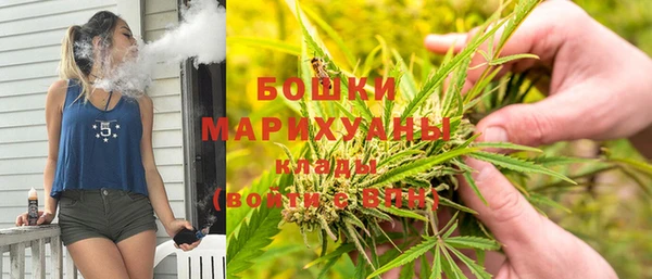 сатива Арсеньев