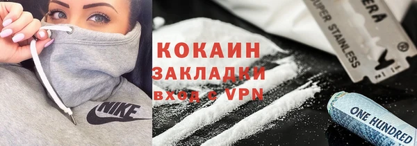 сатива Арсеньев