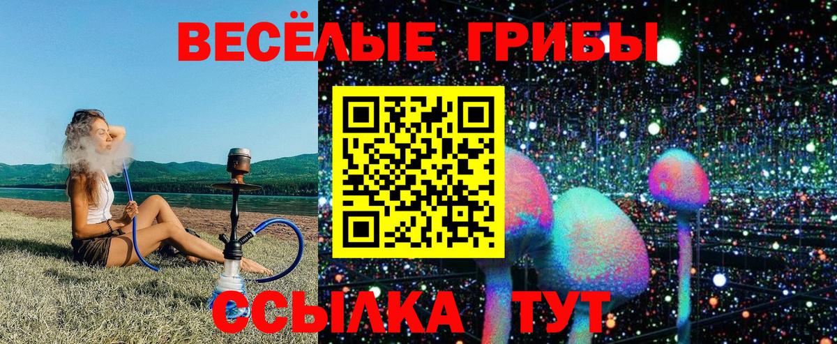 Галлюциногенные грибы прущие грибы Нарткала