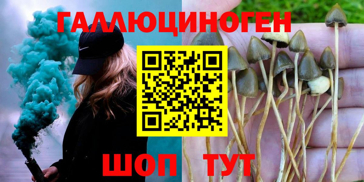 Нарткала  Псилоцибиновые грибы Psilocybe  Вход с VPN 